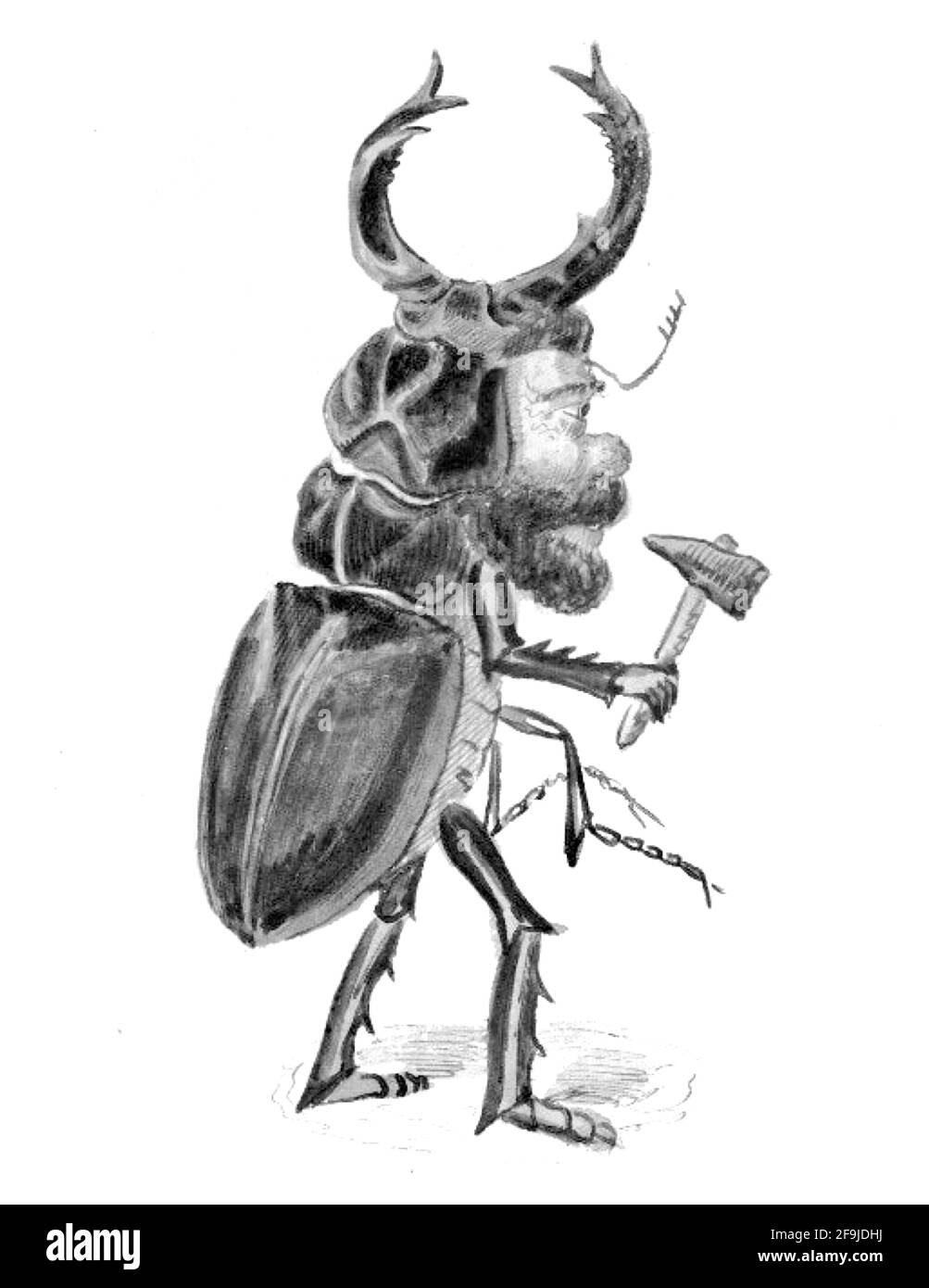 Mistick Krewe de Comus Charles Briton costumes dessins pour le La Nouvelle-Orléans Mardi gras - Beetle Banque D'Images