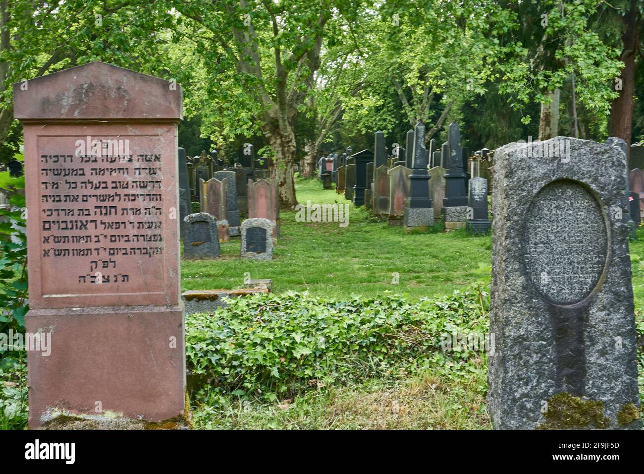 Grabmale, Alter jüdischer Friedhof Rat-Beil-Straße, Am Hauptfriedhof, Frankfurt am main, Hessen, Allemagne Banque D'Images