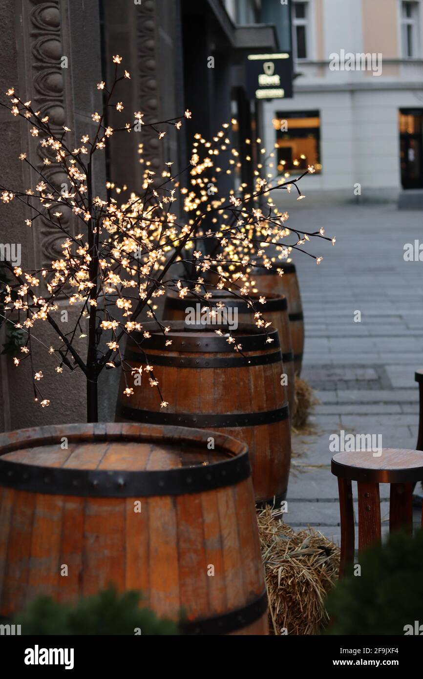 Photo sélective d'un bel arbre décoratif et de bois barils Banque D'Images