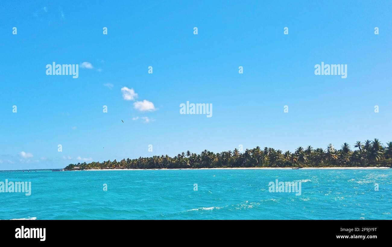 Eau de mer tropicale turquoise rippée et ciel bleu. Plage avec palmiers à l'horizon. Vacances exotiques en République Dominicaine. Banque D'Images
