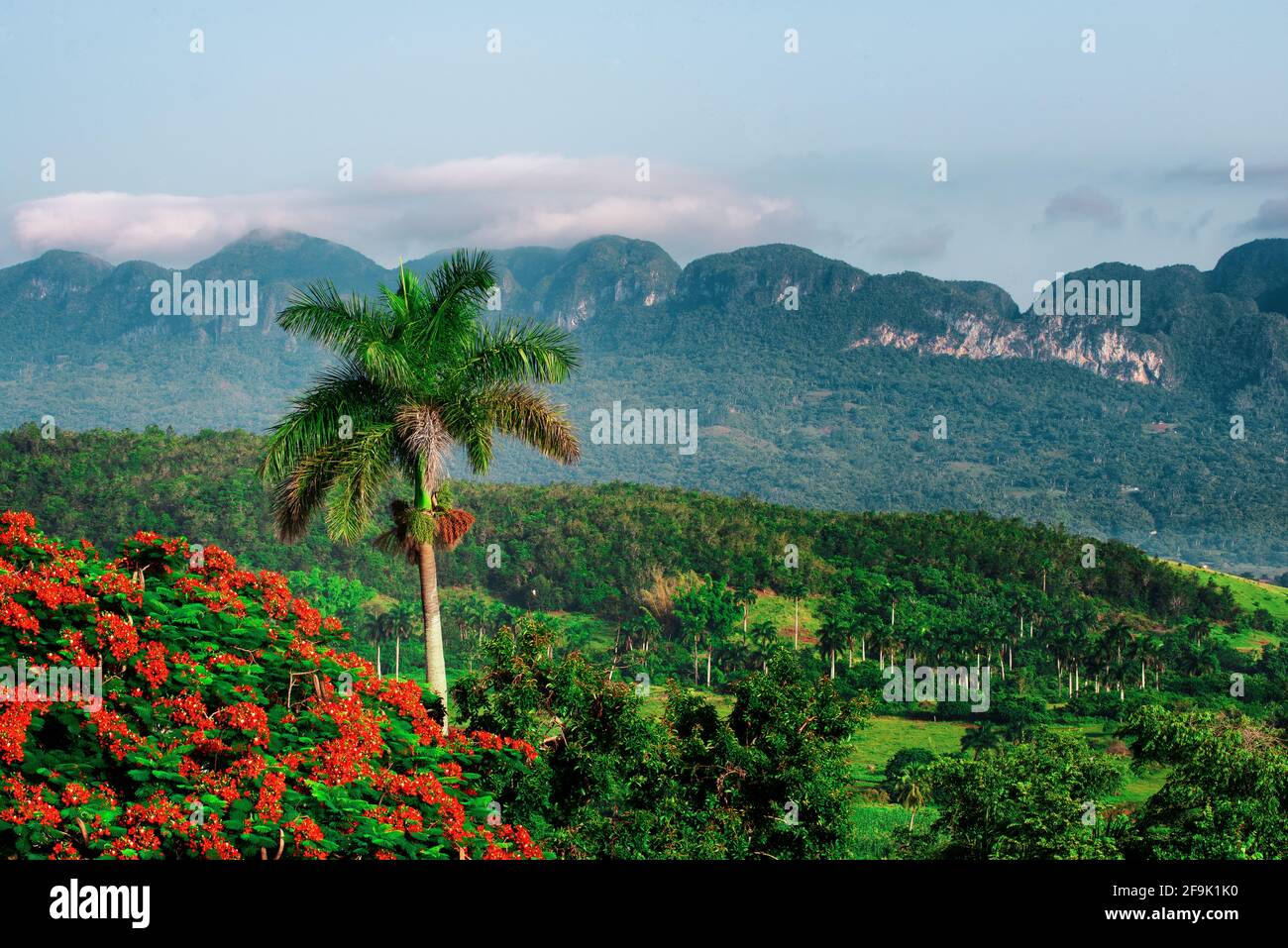Magnifique paysage de la vallée de Vinales, site classé au patrimoine mondial de l'UNESCO, Cuba. Banque D'Images