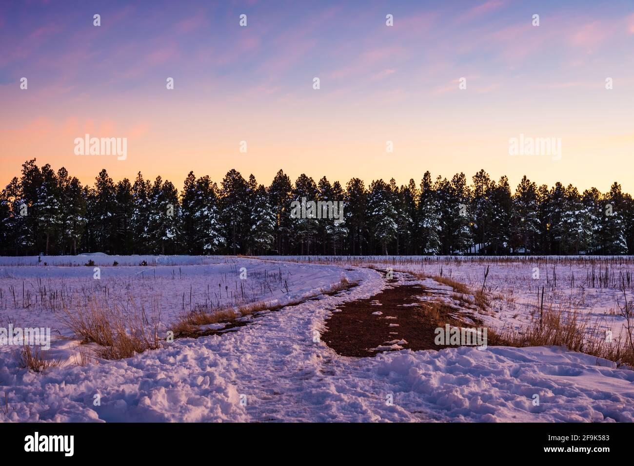 Coucher de soleil après les chutes de neige, dans la réserve de Kachina Wetlands à Flagstaff, en Arizona. Banque D'Images