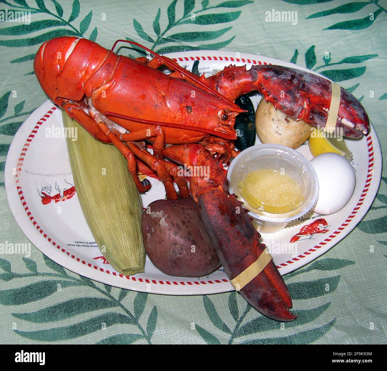 Un homard américain (Homarus americanus) domine une assiette en papier qui contient un repas populaire appelé « ébullition du homard ». La nourriture comprend les grands crustacés et les plats d'accompagnement qui comprennent souvent du maïs sur l'épi (ici dans sa husse), des pommes de terre à peau rouge, des œufs durs, des petits pains et des palourdes, ainsi que du beurre fondu dans un petit récipient et des tranches de citron. Situé le long de la côte nord de l'Amérique du Nord, ce délicieux poisson de mer est connu sous le nom de Maine, canadien, Atlantique, Nord et vrai homard. Normalement de couleur brun-verdâtre, ces décapodes deviennent très rouges lorsqu'ils sont bouillis pour manger leur viande. Banque D'Images