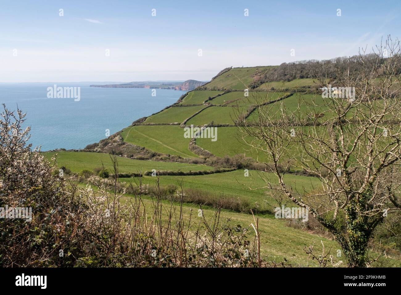 Vue depuis le sentier de randonnée South West Coastal route traversant les champs jusqu'à l'embouchure de Salcombe, près de Sidmouth, Devon. Banque D'Images