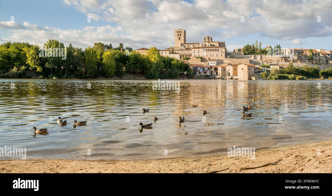 Paysage urbain avec cathédrale romane du XIIe siècle et moulins à eau sur le fleuve Duero à Zamora, Castilla y León, Espagne. Banque D'Images