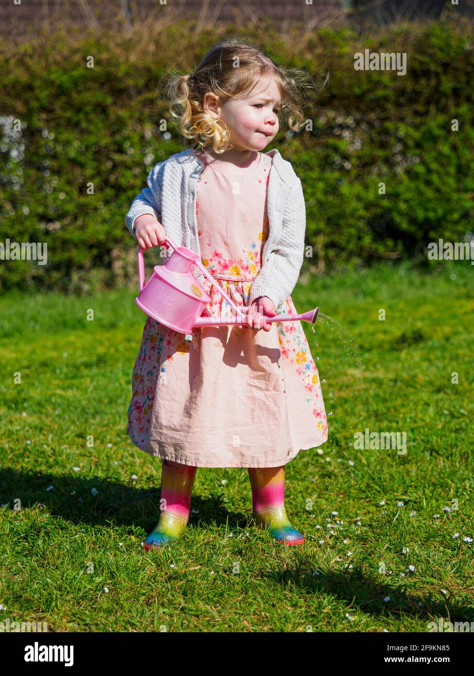 Tout-petit en robe avec bottes wellington arrosoir marguerites, Royaume-Uni Banque D'Images