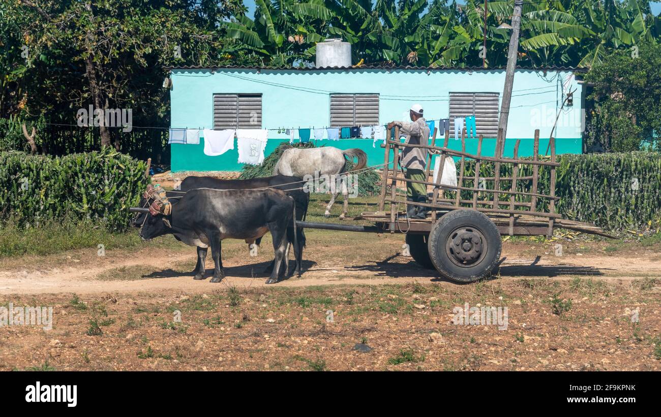 Zones rurales et villes. Style de vie à Cuba Banque D'Images