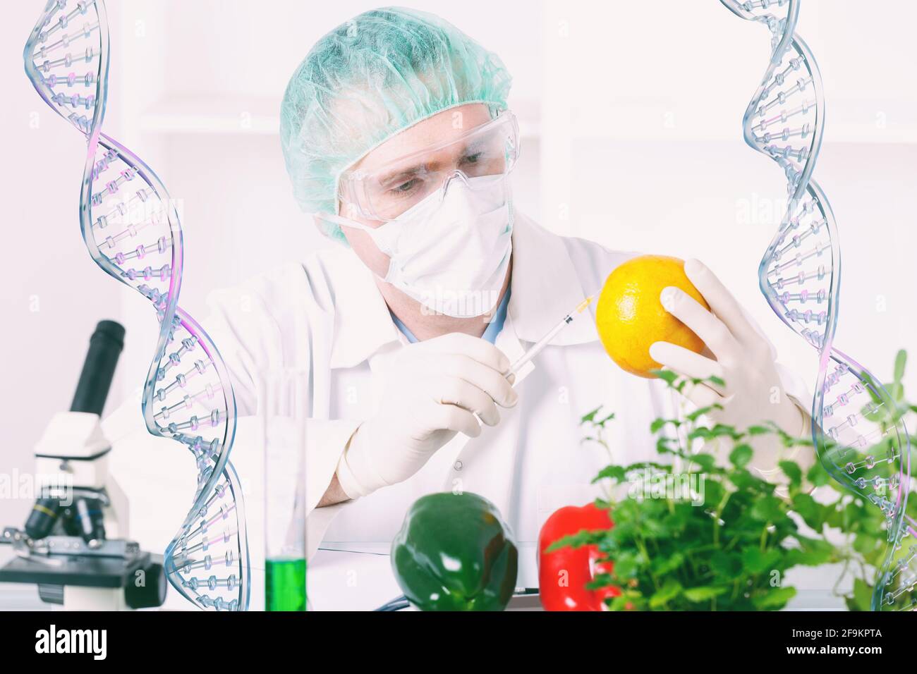 Chercheur avec des plantes OGM. L'organisme génétiquement modifié ou GEO est une plante dont le matériel génétique a été modifié à l'aide de la technique de génie génétique Banque D'Images