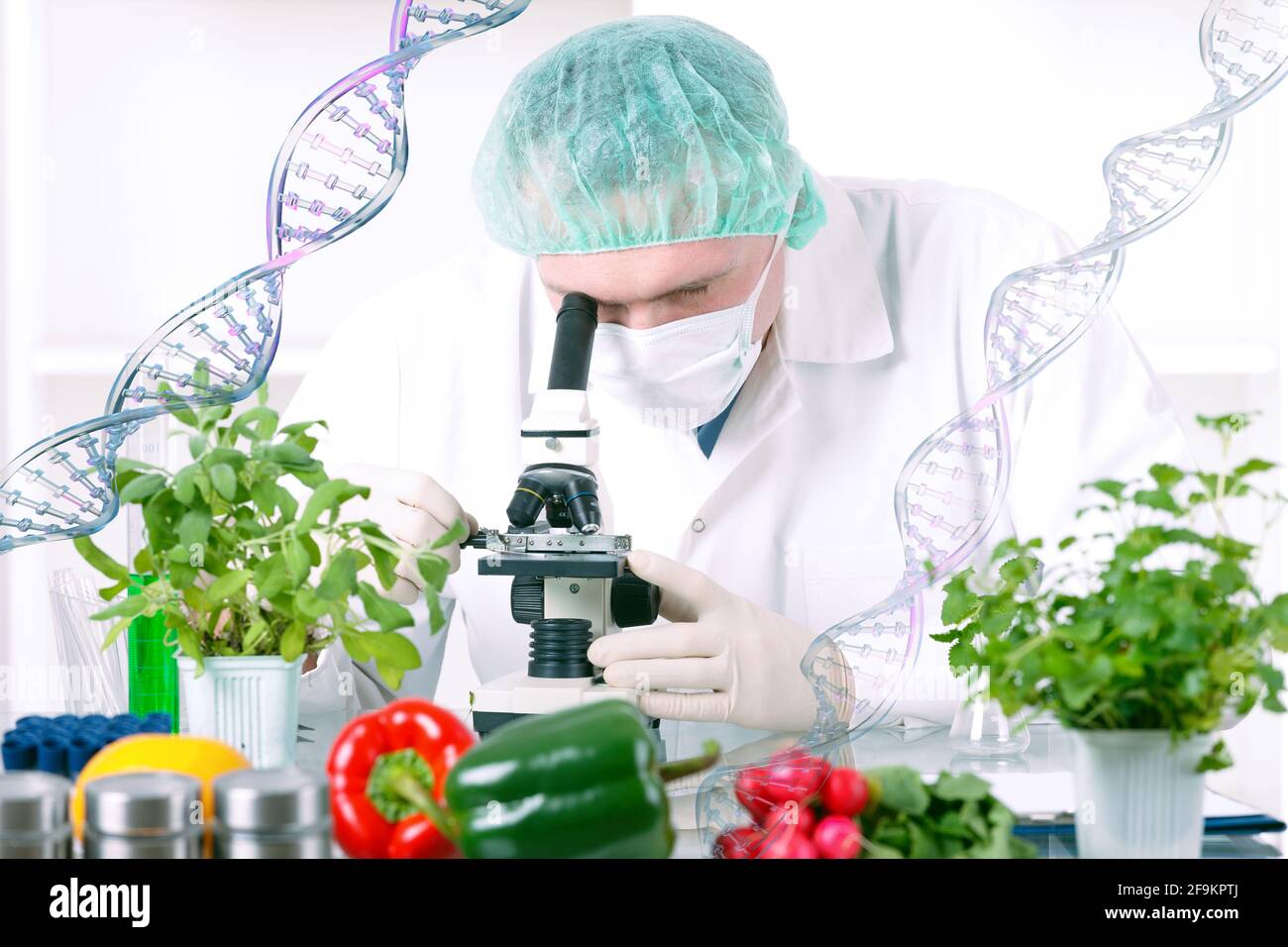 Chercheur avec des plantes OGM. L'organisme génétiquement modifié ou GEO est une plante dont le matériel génétique a été modifié à l'aide de la technique de génie génétique Banque D'Images