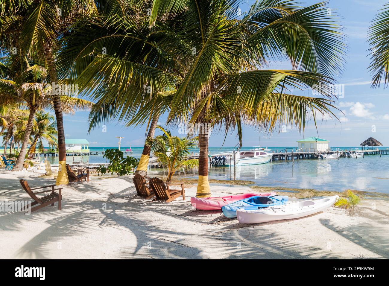 Palmiers et plage de Caye Caulker Island, Belize Banque D'Images