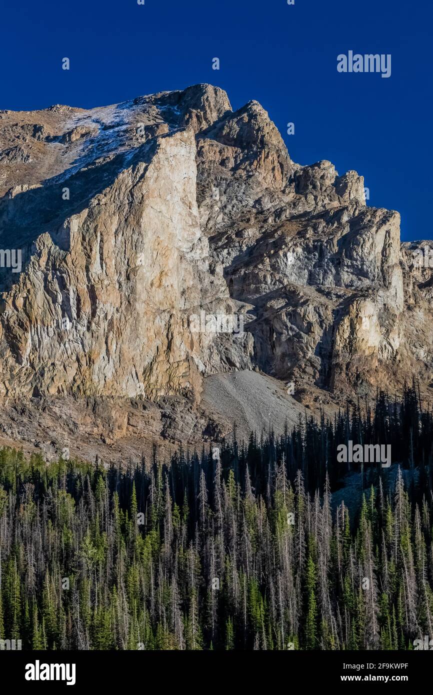 Les montagnes s'élèvent de façon spectaculaire au-dessus de la vallée de Rock Creek dans les montagnes Beartooth, Beartooth Highway, Montana, États-Unis Banque D'Images