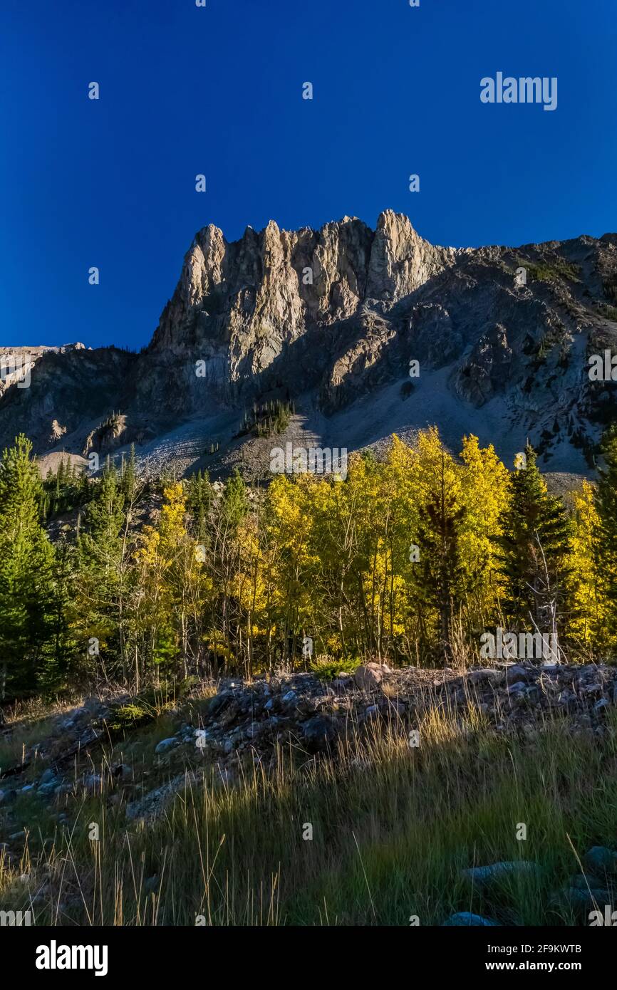 Les montagnes s'élèvent de façon spectaculaire au-dessus de la vallée de Rock Creek dans les montagnes Beartooth, Beartooth Highway, Montana, États-Unis Banque D'Images
