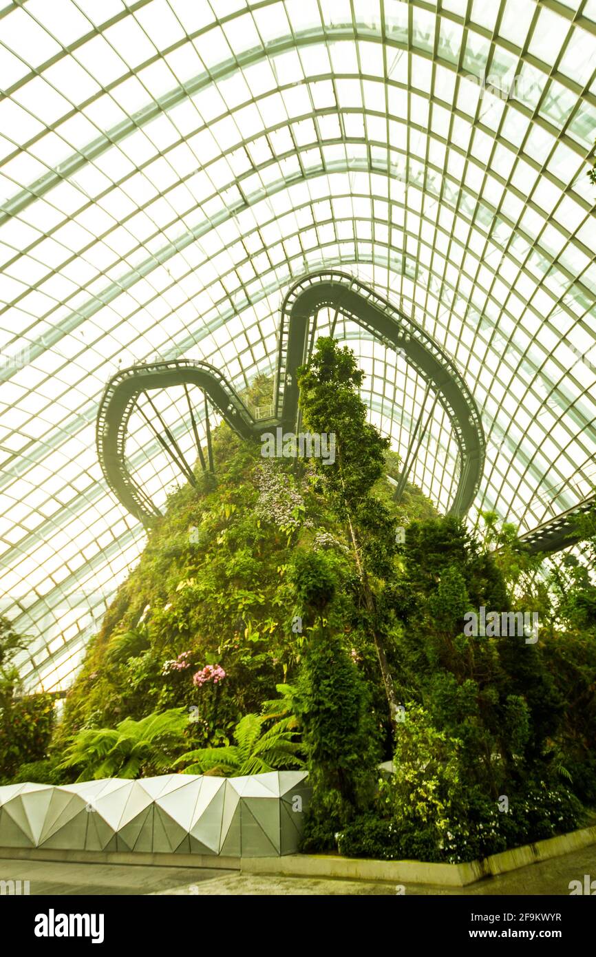 Marina Bay, Singapour - le 8 janvier 2014 : l'intérieur de la Forêt de nuages, l'un des deux conservatoires des jardins près de la baie, à Singapour. Banque D'Images