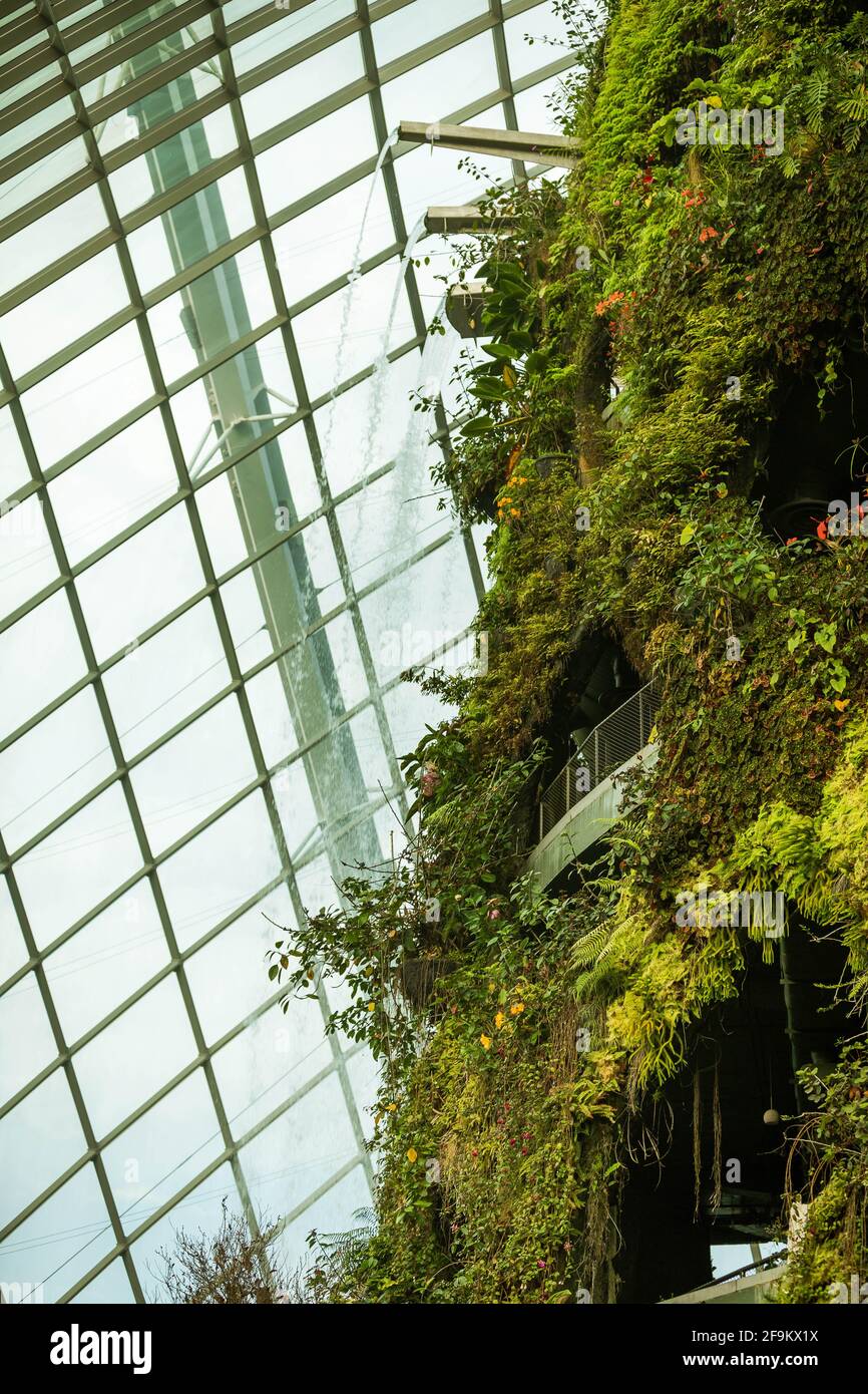 Marina Bay, Singapour - le 8 janvier 2014 : l'intérieur de la Forêt de nuages, l'un des deux conservatoires des jardins près de la baie, à Singapour. Banque D'Images