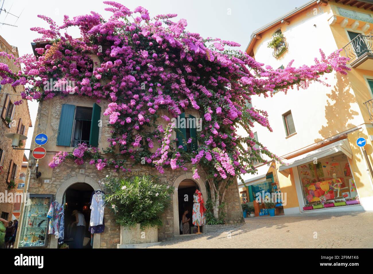 Sirmione, lac de Garde. Bougainvilliers violets fleuris dans la vieille maison de ville. Lago di Garda, Gardasee, Italie Banque D'Images