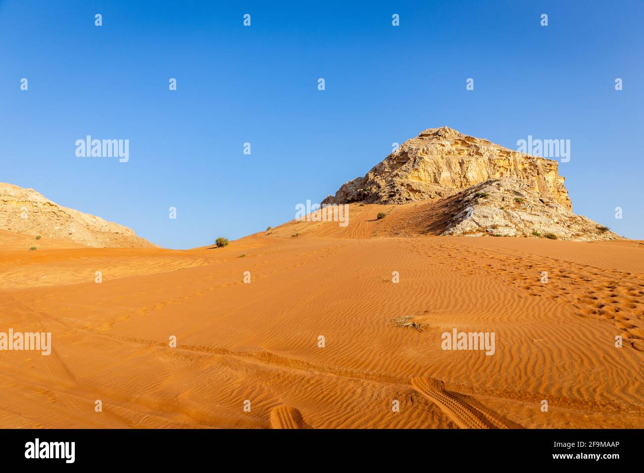Fossil Rock formation de roches calcaires dans le désert, avec des dunes de sable et des pistes de pneus autour, Sharjah, Émirats arabes Unis. Banque D'Images