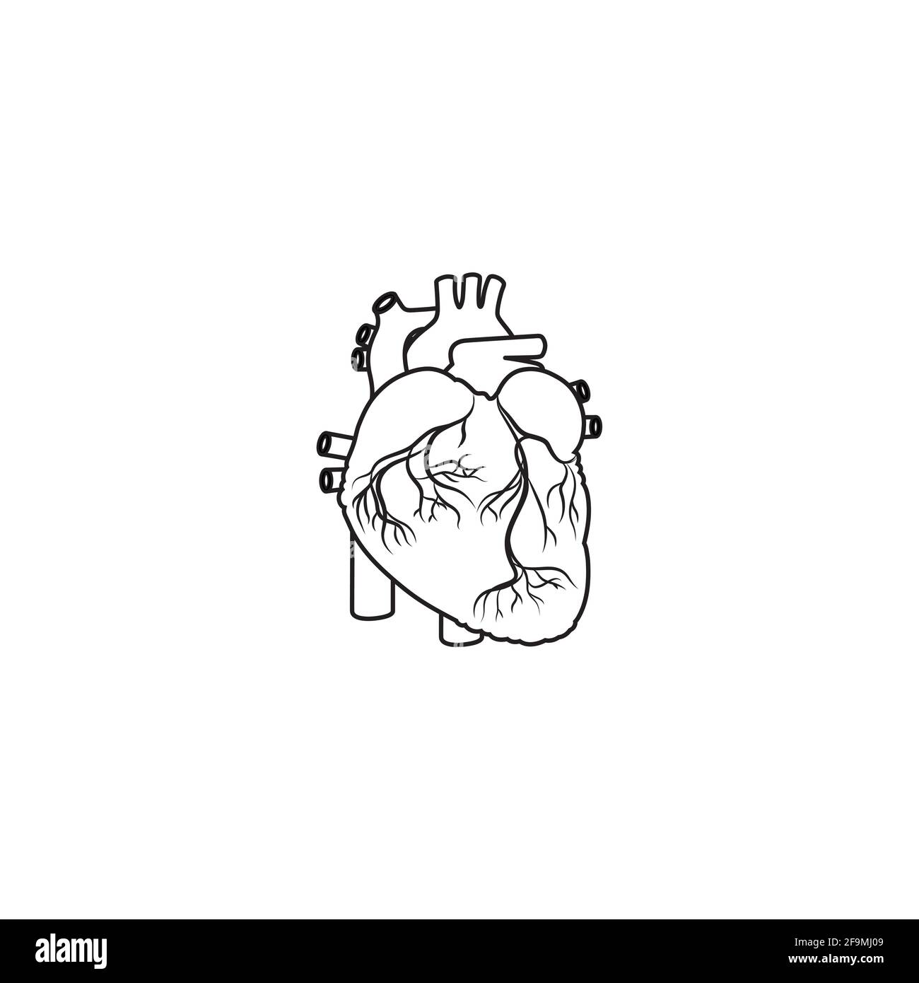 Vecteur d'icône de la ligne cardiaque humaine minimaliste moderne. Simple coeur Contour signe pour l'anatomie humaine, médical ou concept de santé. Symbole anatomique du cœur iso Illustration de Vecteur