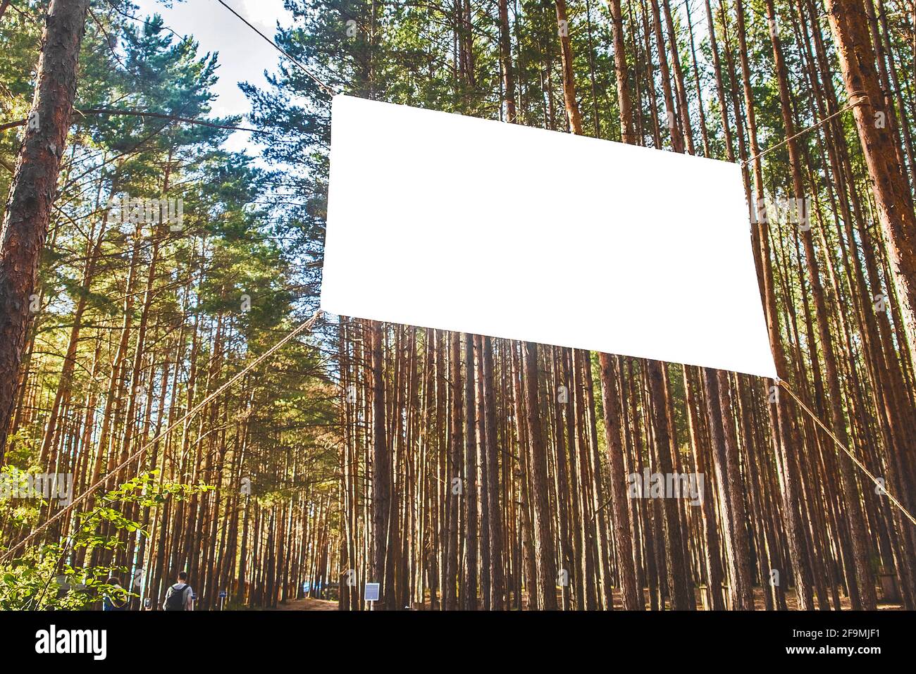 Maquette de panneau blanc vierge sur fond de sapins dans un camp forestier. Banque D'Images