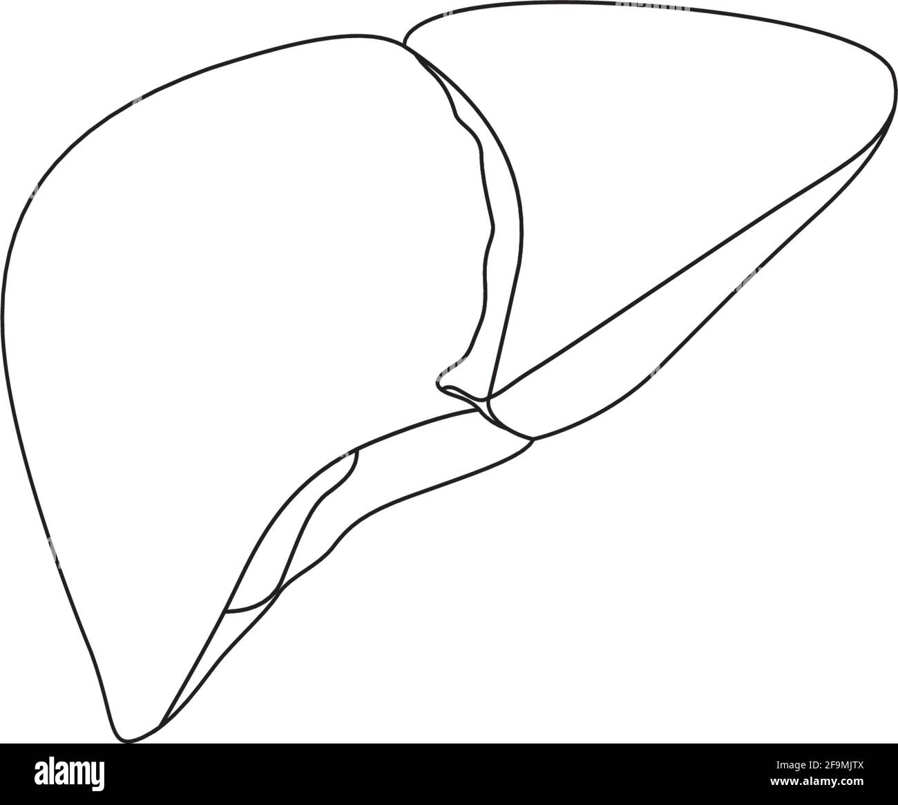 Vecteur d'icône de la ligne hépatique humaine minimaliste moderne. Simple signe du foie pour l'anatomie humaine, le concept médical ou de santé. Contour du symbole organe du foie Illustration de Vecteur