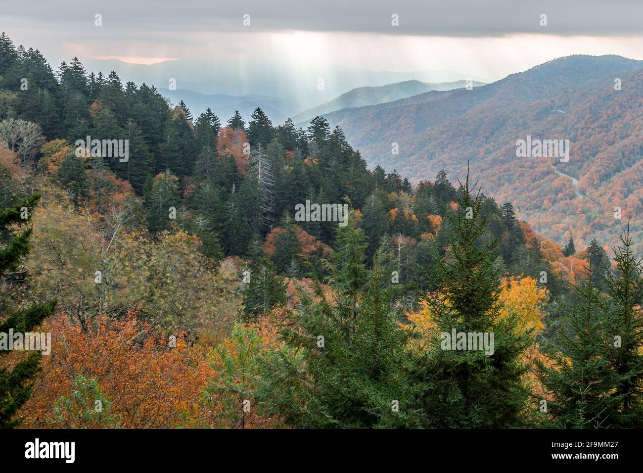 Nouveau trouvé Gap, Great Smoky Mountain Banque D'Images