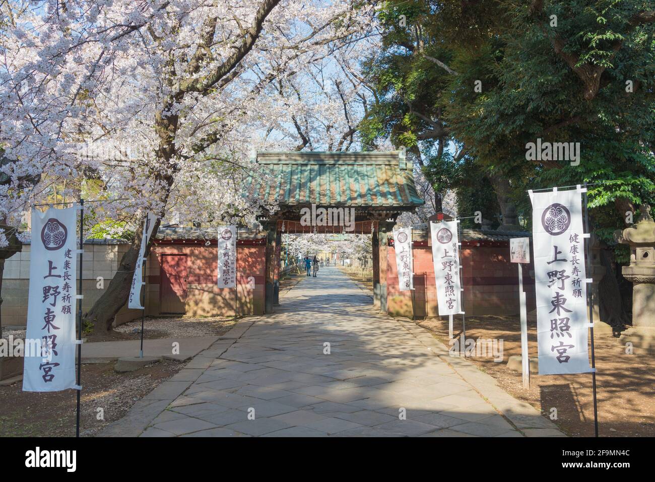 Approche au sanctuaire Ueno Toshogu dans le parc Ueno, Tokyo, Japon. Un sanctuaire dédié à Tokugawa Ieyasu (1543-1616) construit en 1627. Banque D'Images