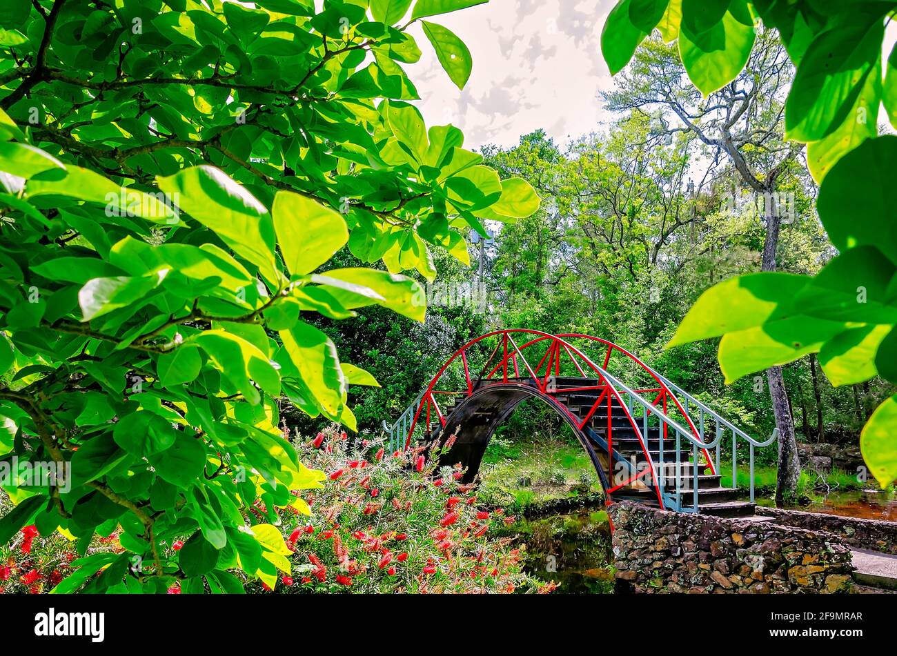 Le pont de lune, ou pont oriental, est photographié dans le jardin américano-asiatique des jardins de Bellingrath, le 19 avril 2021, à Theodore, Alabama. Banque D'Images