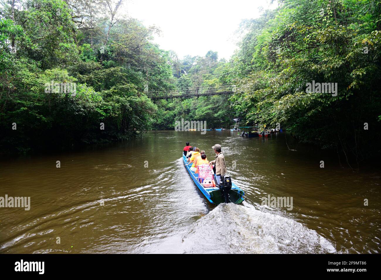 Tourisme à bord d'un bateau dans la forêt tropicale dans le parc national de Gunung Mulu à Sarawak, Malaisie. Banque D'Images