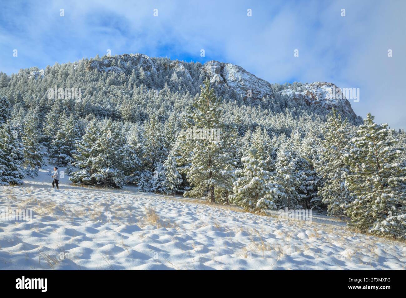 randonneur sous le mont helena dans la neige d'hiver à helena, montana Banque D'Images