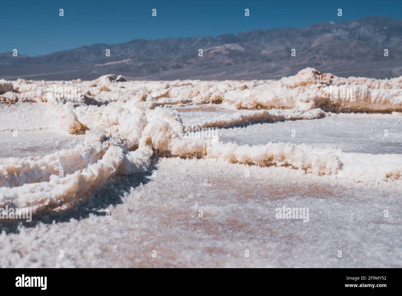 Des salées, des plaques de sel ont été réagrées sous le niveau de la mer dans le parc national de la Vallée de la mort. Gros plan sur la texture. Badwater Basin, célèbre destination touristique Banque D'Images