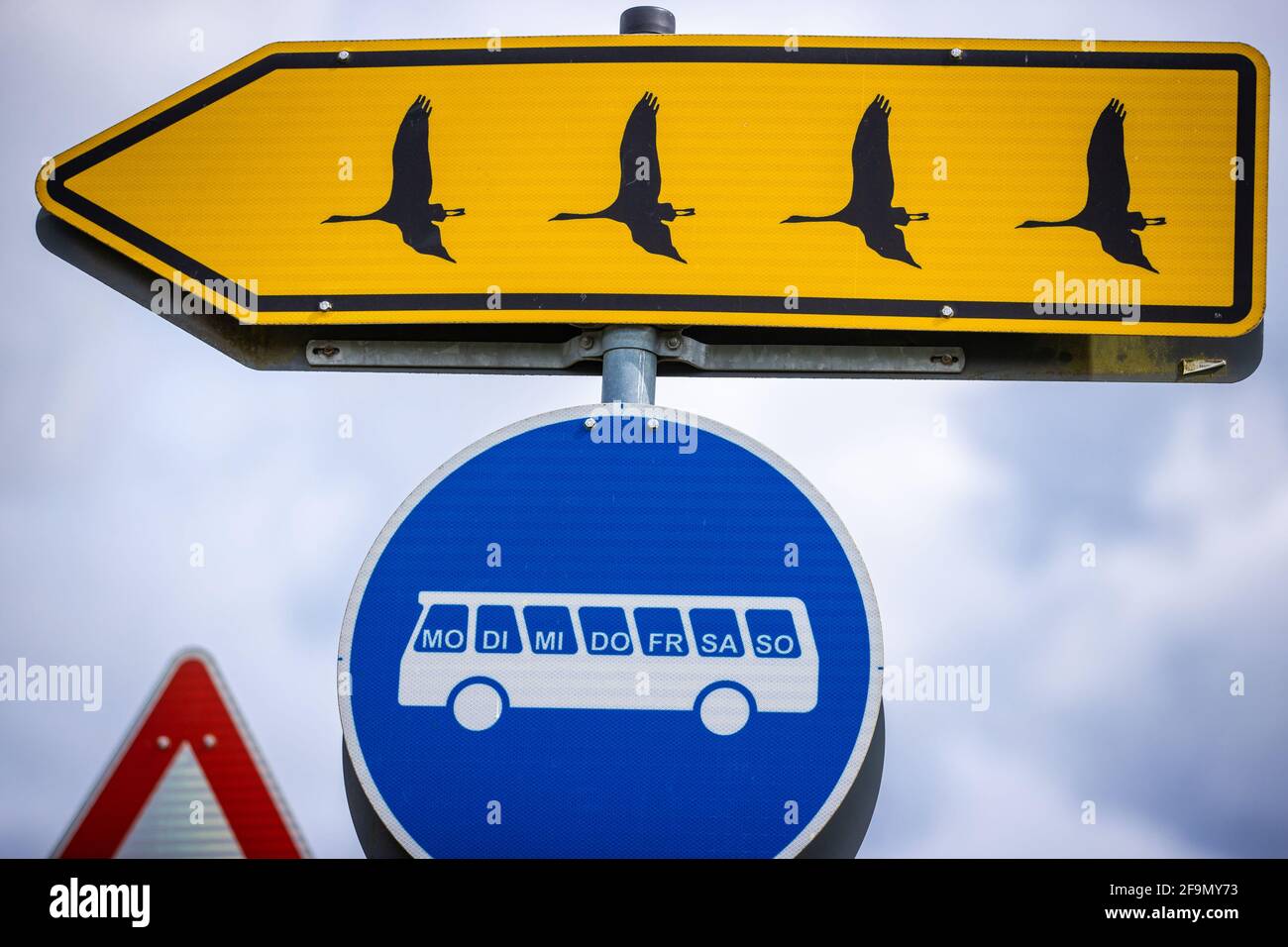 15 avril 2021, Mecklembourg-Poméranie occidentale, Grambow: Les panneaux de signalisation du futur avec les titres «Migration» (ci-dessus) et «connexion de bus» représentent un projet d'art du groupe d'artistes «Reinigungsgesellschaft» (Martin Keil et Henrik Mayer) dans le centre du village. Les artistes de Dresde ont développé un "système de guidage du Nouveau Grambow 2057", qui visualise les idées et suggestions pour une vie rurale meilleure dans des pictogrammes colorés. Le contenu est le village de Grambow en l'an 2057, quand le village aura 700 ans. Douze panneaux de signalisation en tôle d'acier galvanisée Deal wi Banque D'Images