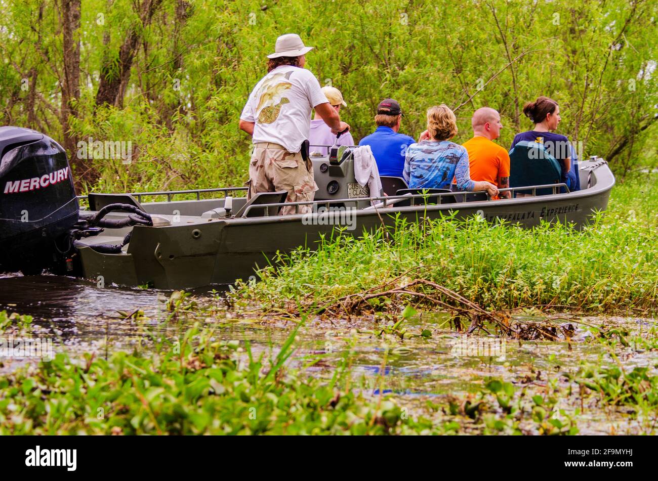 Un bateau d'excursion rempli de touristes glisse à travers l'eau et la jacinthe d'eau dans le marécage de la rivière Atchafalaya en Louisiane, Etats-Unis. Banque D'Images