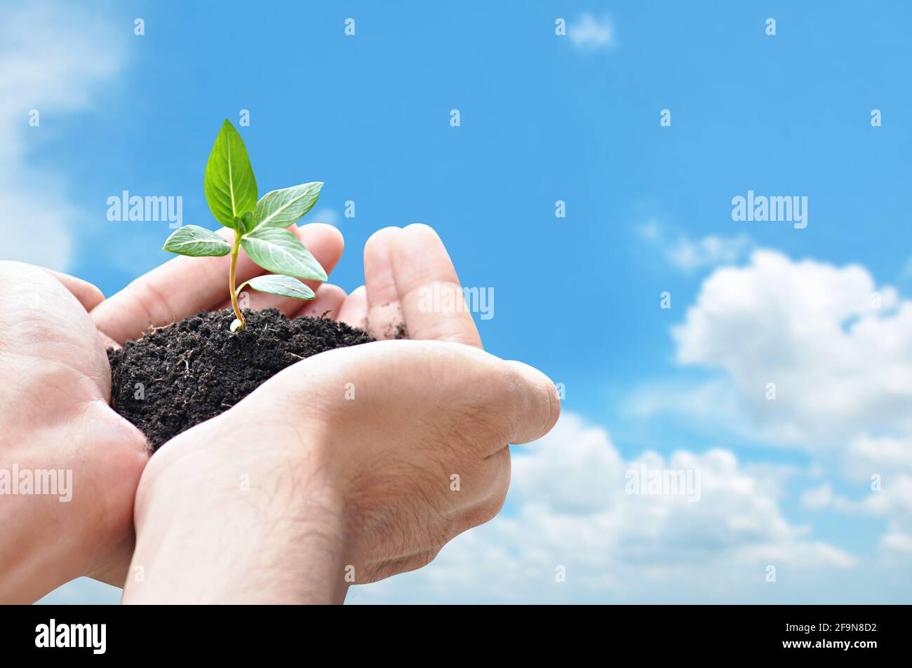 Germe à la main tenant avec le sol, concept de conservation de l'environnement - conception de bordure avec espace de copie Banque D'Images