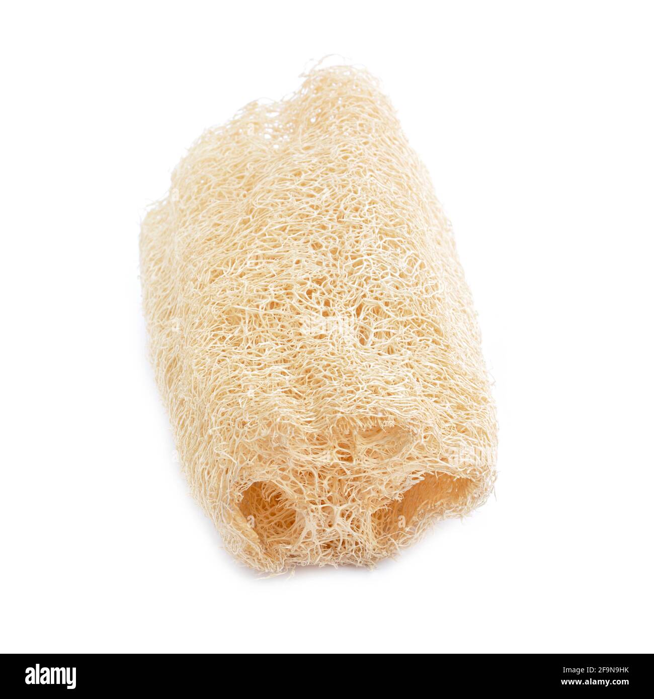 Loofah - fibre naturelle pour le nettoyage du corps - isolé sur blanc Banque D'Images