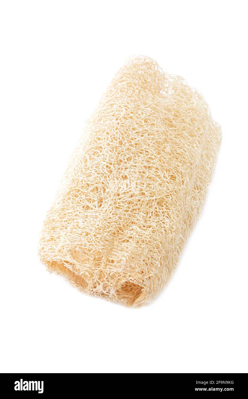 Loofah - fibre naturelle pour le nettoyage du corps - isolé sur blanc Banque D'Images