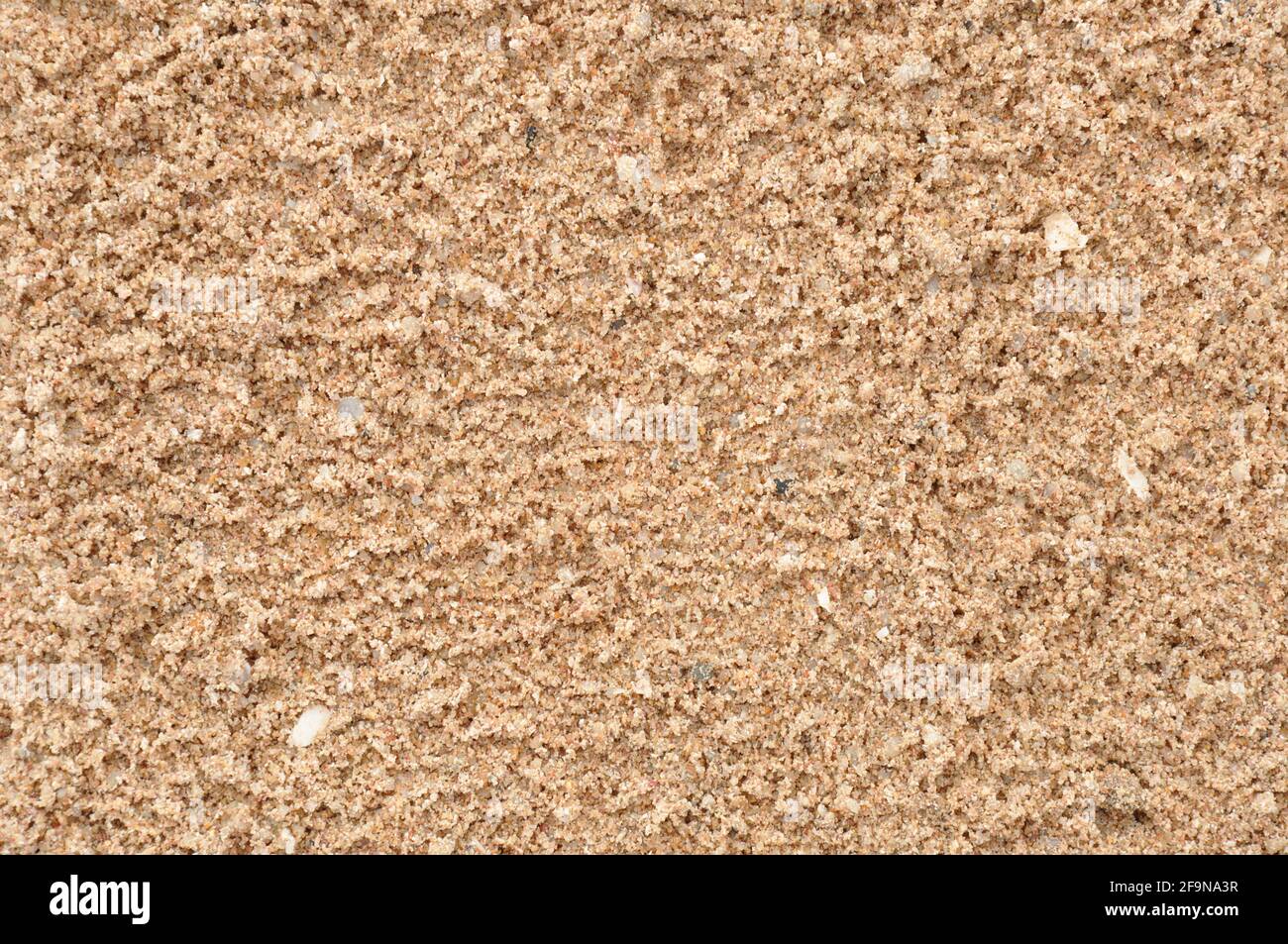 Texture de sable rugueuse Banque D'Images