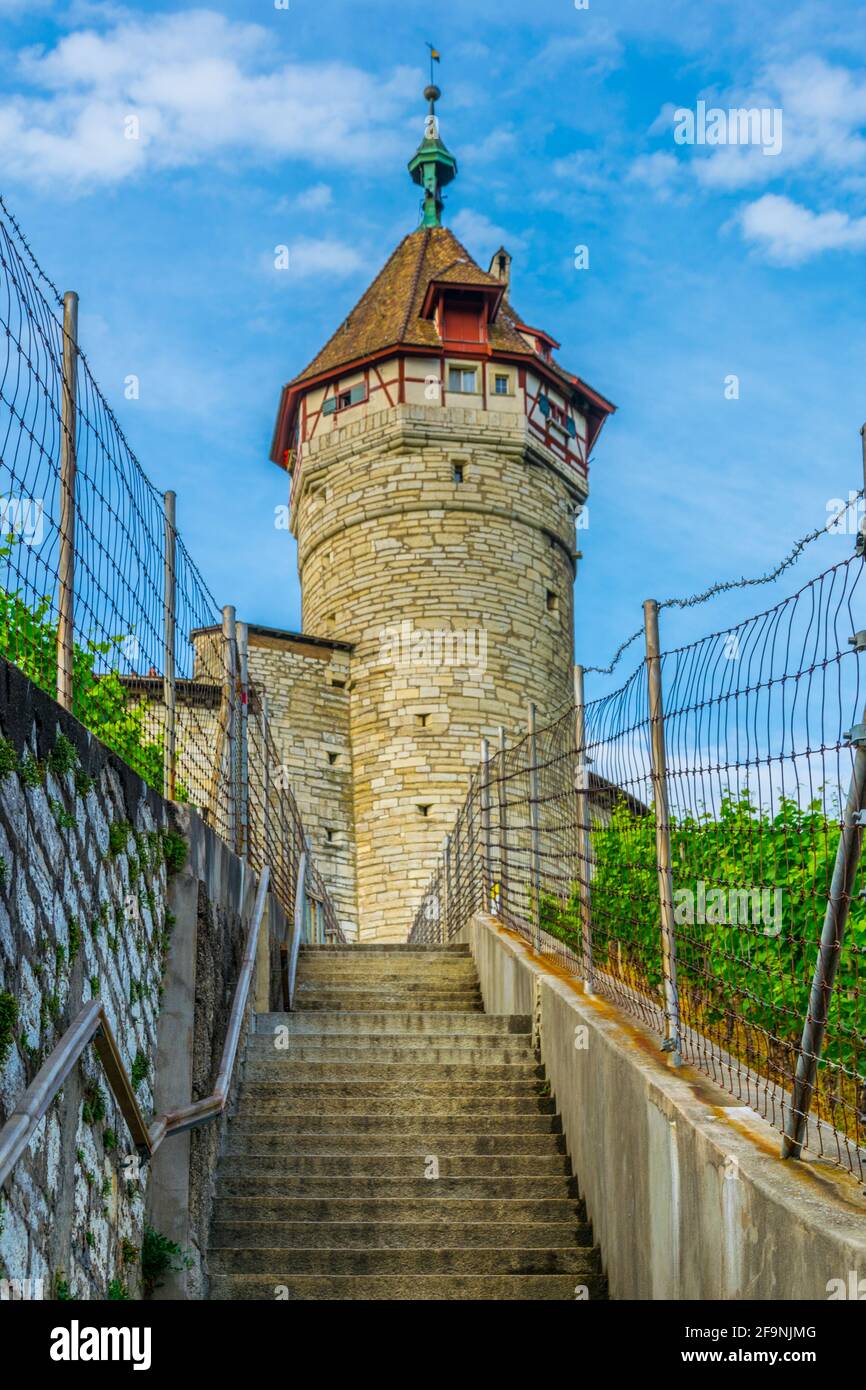 Escalier raide menant à la forteresse munot à travers le vignoble dans la ville suisse de Schaffhausen. Banque D'Images