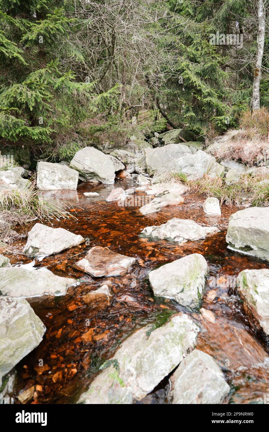 Les Hautes Fagnes, Hoge Venen, Belgique, Van Signal Botrange Banque D'Images