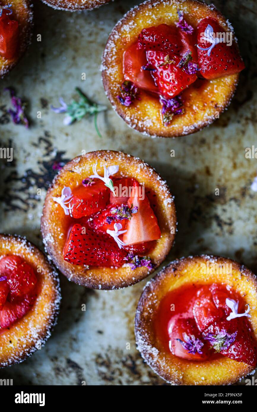 Fraises et sirops de lilas Banque D'Images