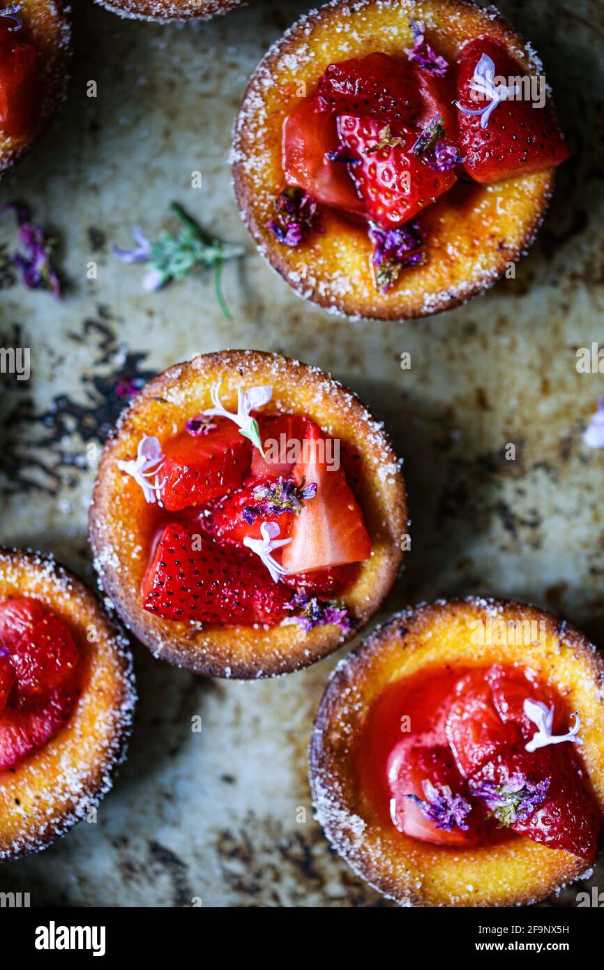 Fraises et sirops de lilas Banque D'Images