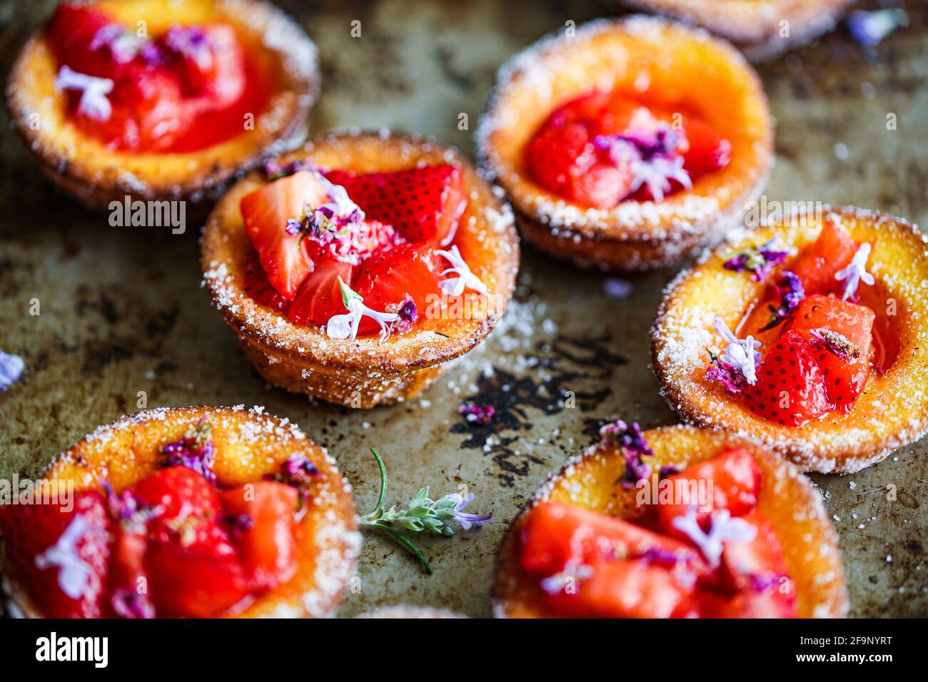 Fraises et sirops de lilas Banque D'Images