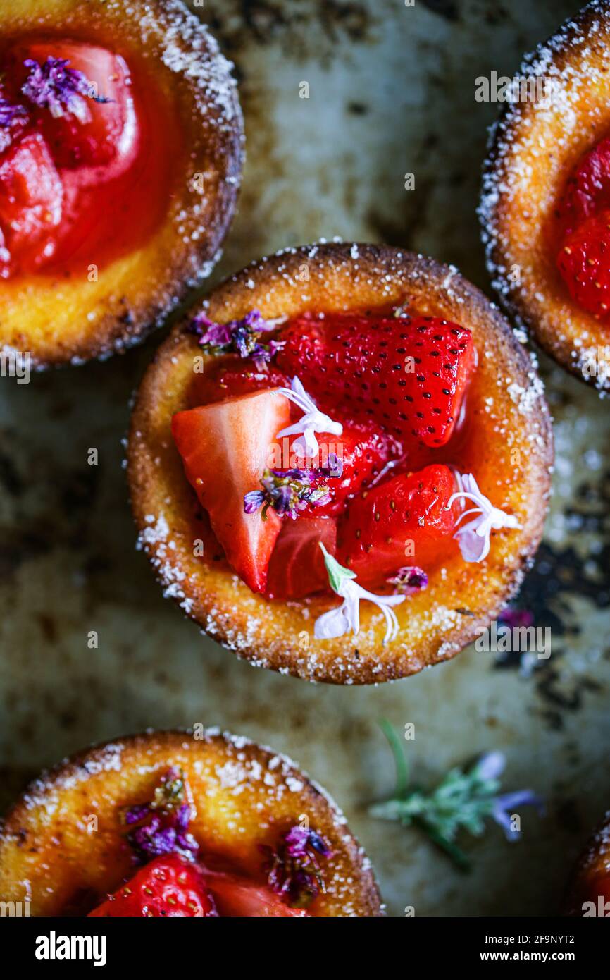 Fraises et sirops de lilas Banque D'Images