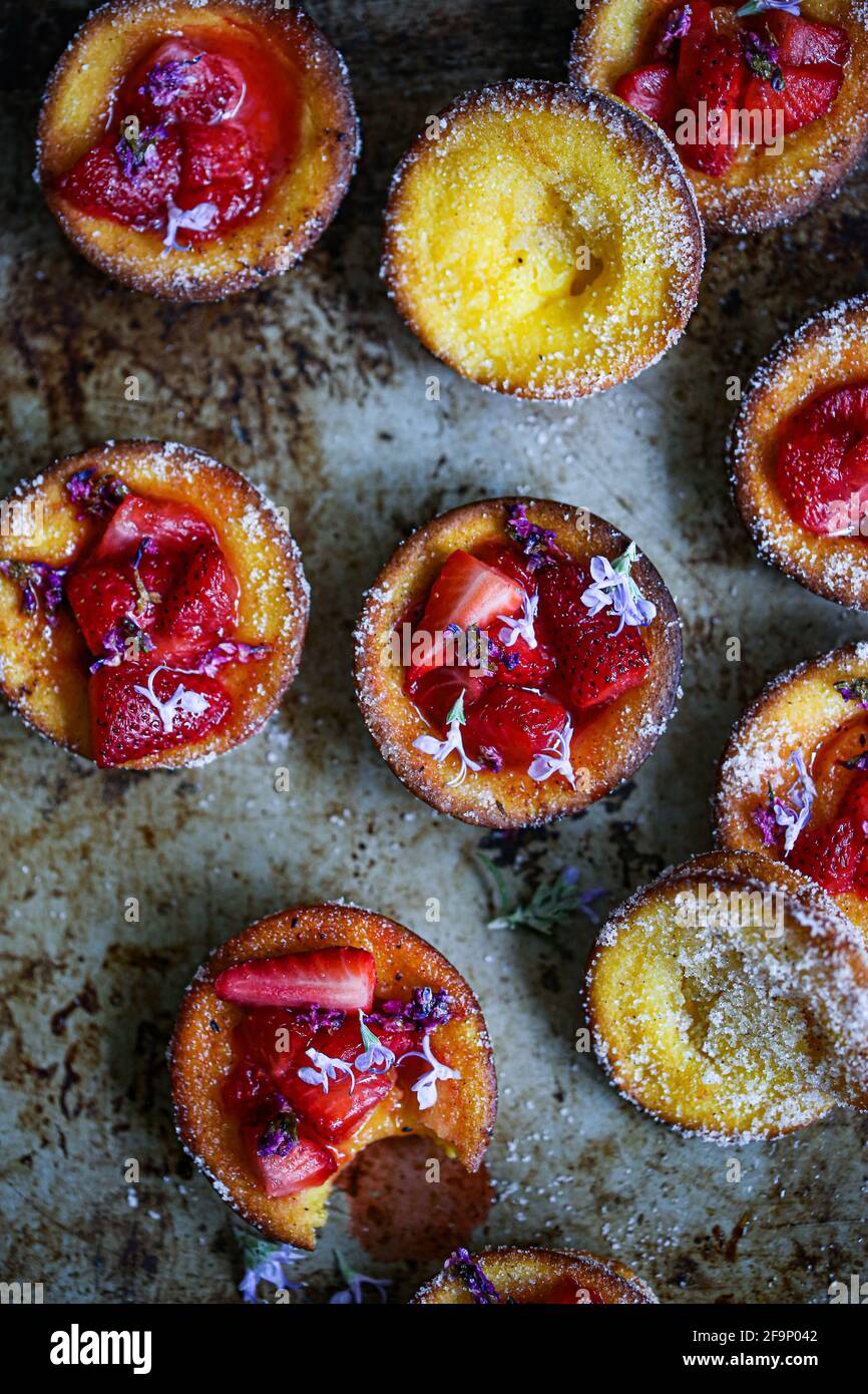 Fraises et sirops de lilas Banque D'Images