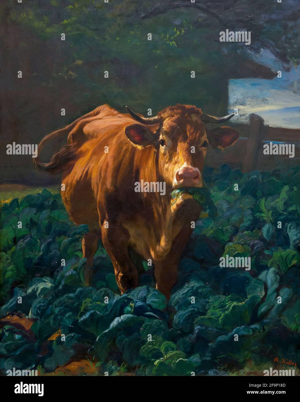 Vache dans un champ de chou, Rudolf Koller, 1857-1858, Banque D'Images