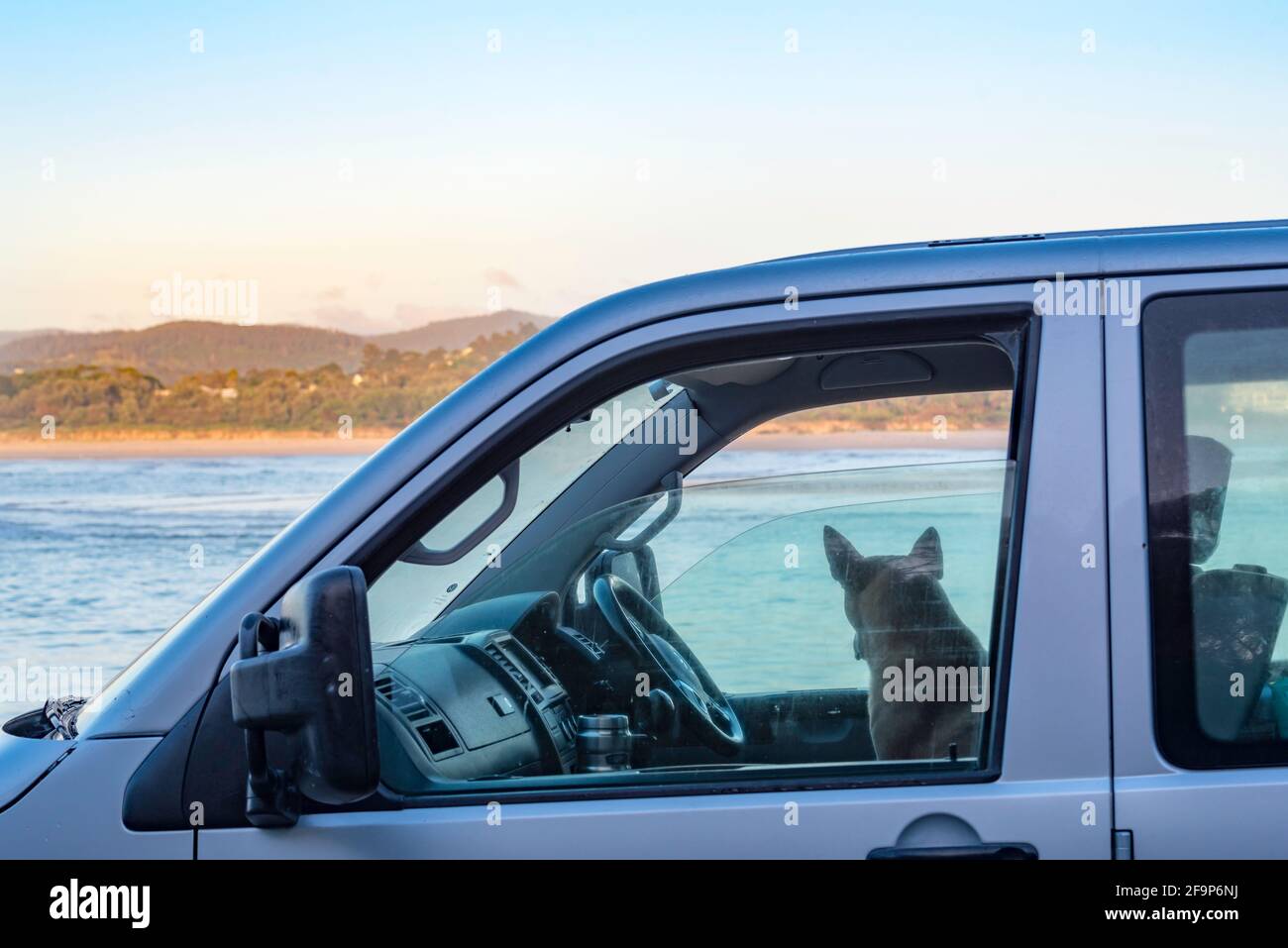 Un chien attend et regarde patiemment d'un camion pour Son propriétaire de surf à Bar Beach à Merimbula sur le Nouvelle-Galles du Sud côte sud de l'Australie Banque D'Images