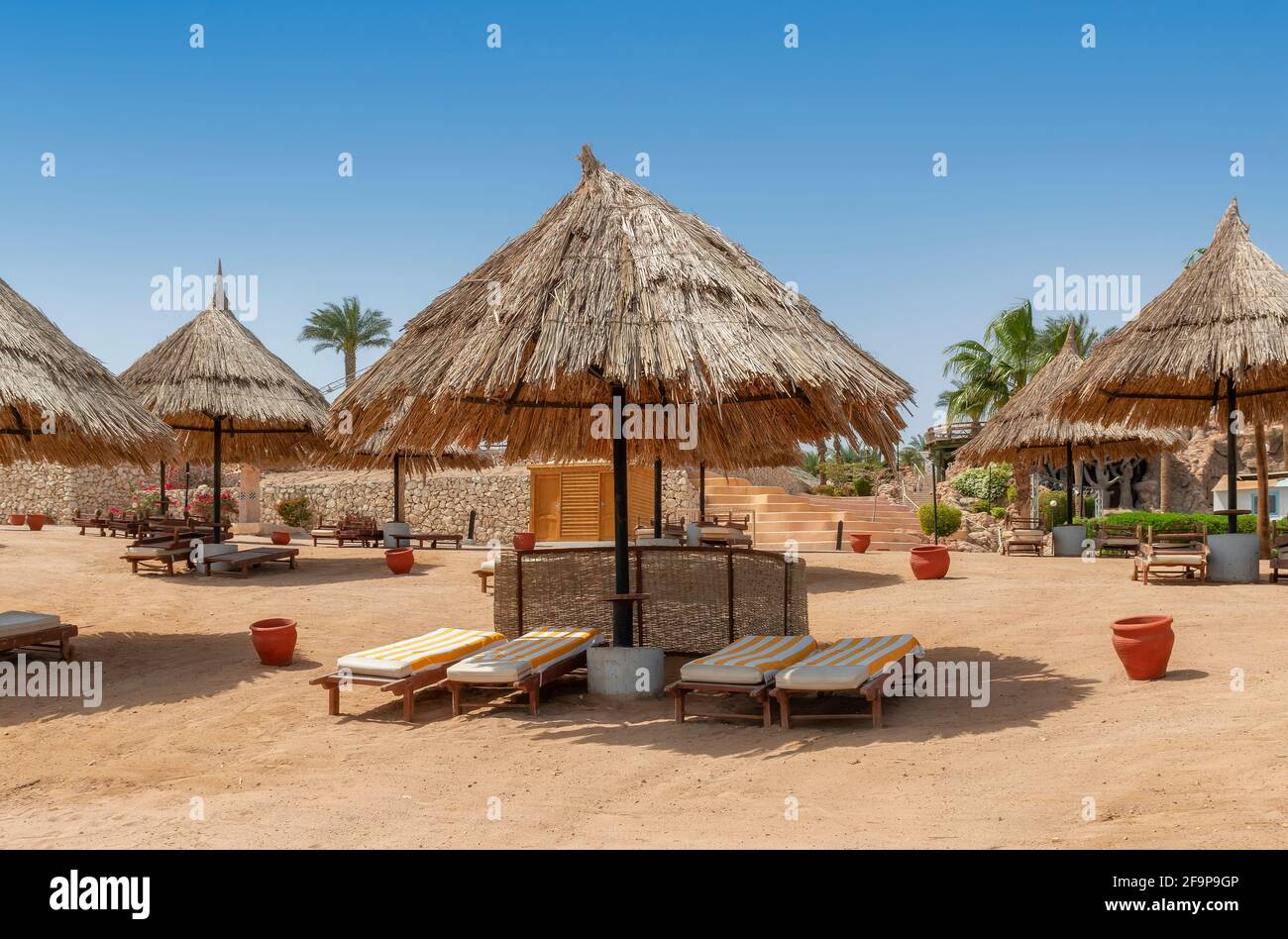 Station balnéaire tropicale avec parasols et chaises longues dans la plage de corail de la mer Rouge, Egypte, Afrique. Banque D'Images