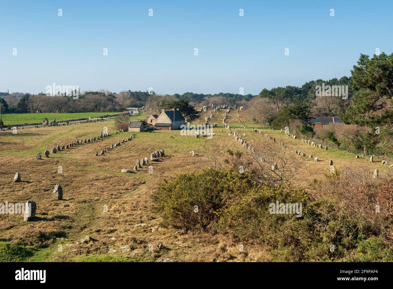 Champ de pierres debout près de Carnac Banque D'Images