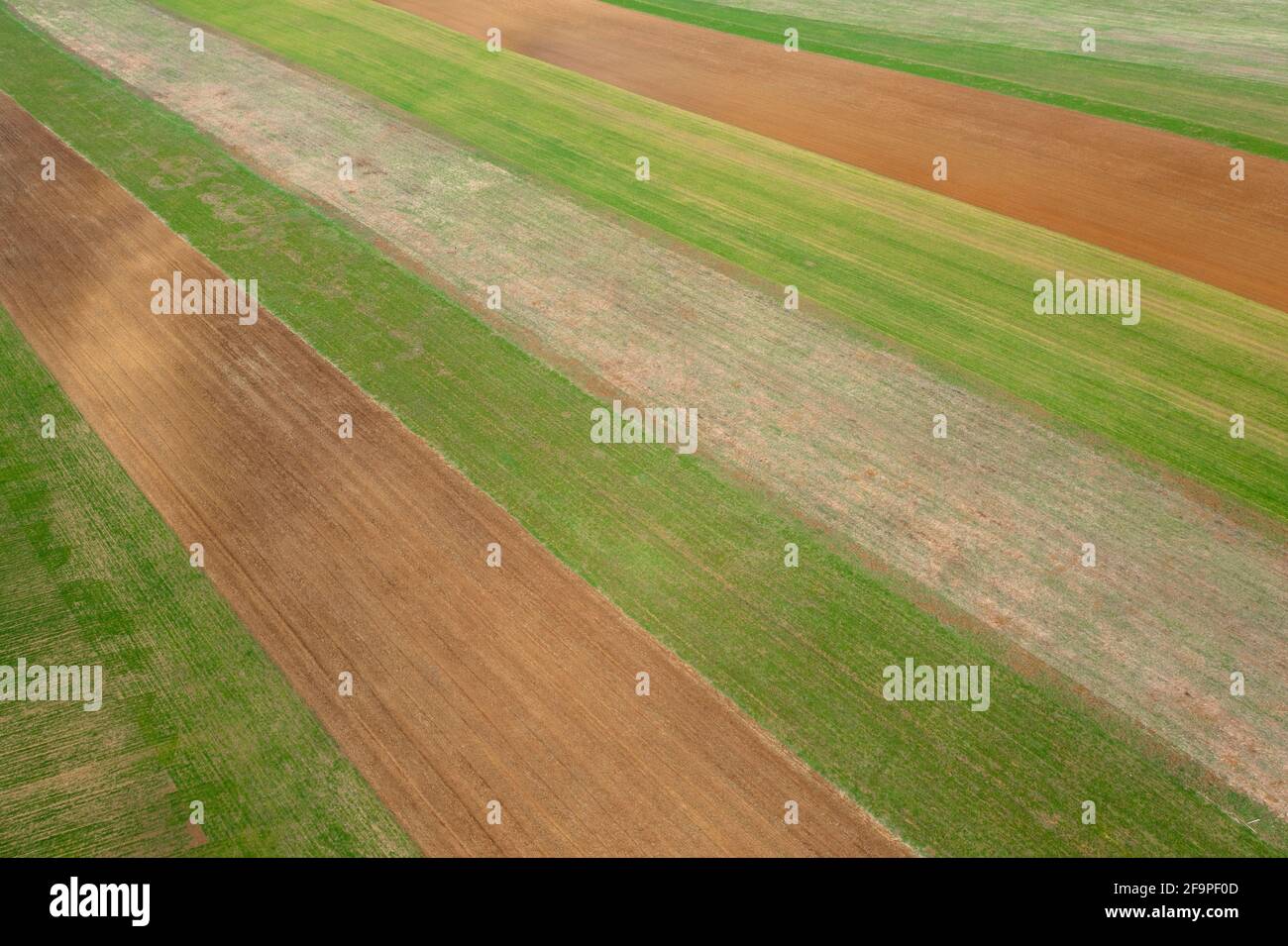 Kiskartyán, Hongrie - vue aérienne sur le champ agricole cultivé à la campagne, texture agricole. Banque D'Images