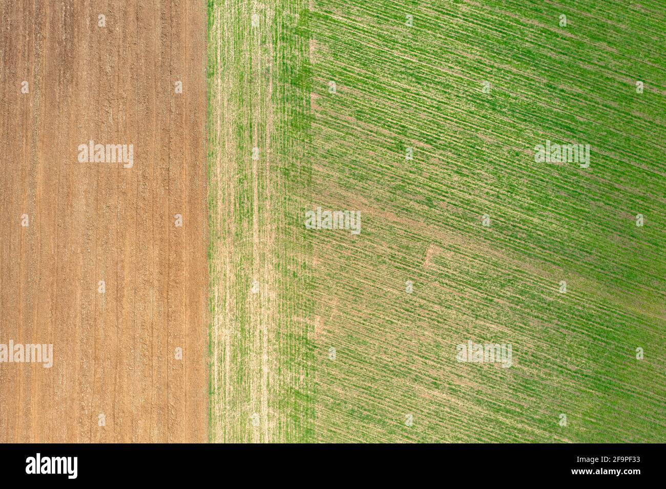 Kiskartyán, Hongrie - vue aérienne sur le champ agricole cultivé à la campagne, texture agricole. Banque D'Images