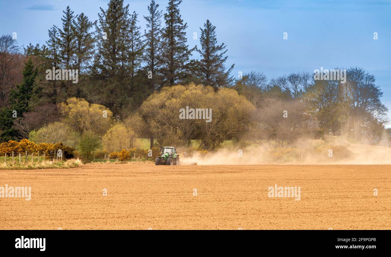 TRACTEUR AU PRINTEMPS, HERANT UN TERRAIN SEC ET CRÉANT DES NUAGES DE POUSSIÈRE Banque D'Images