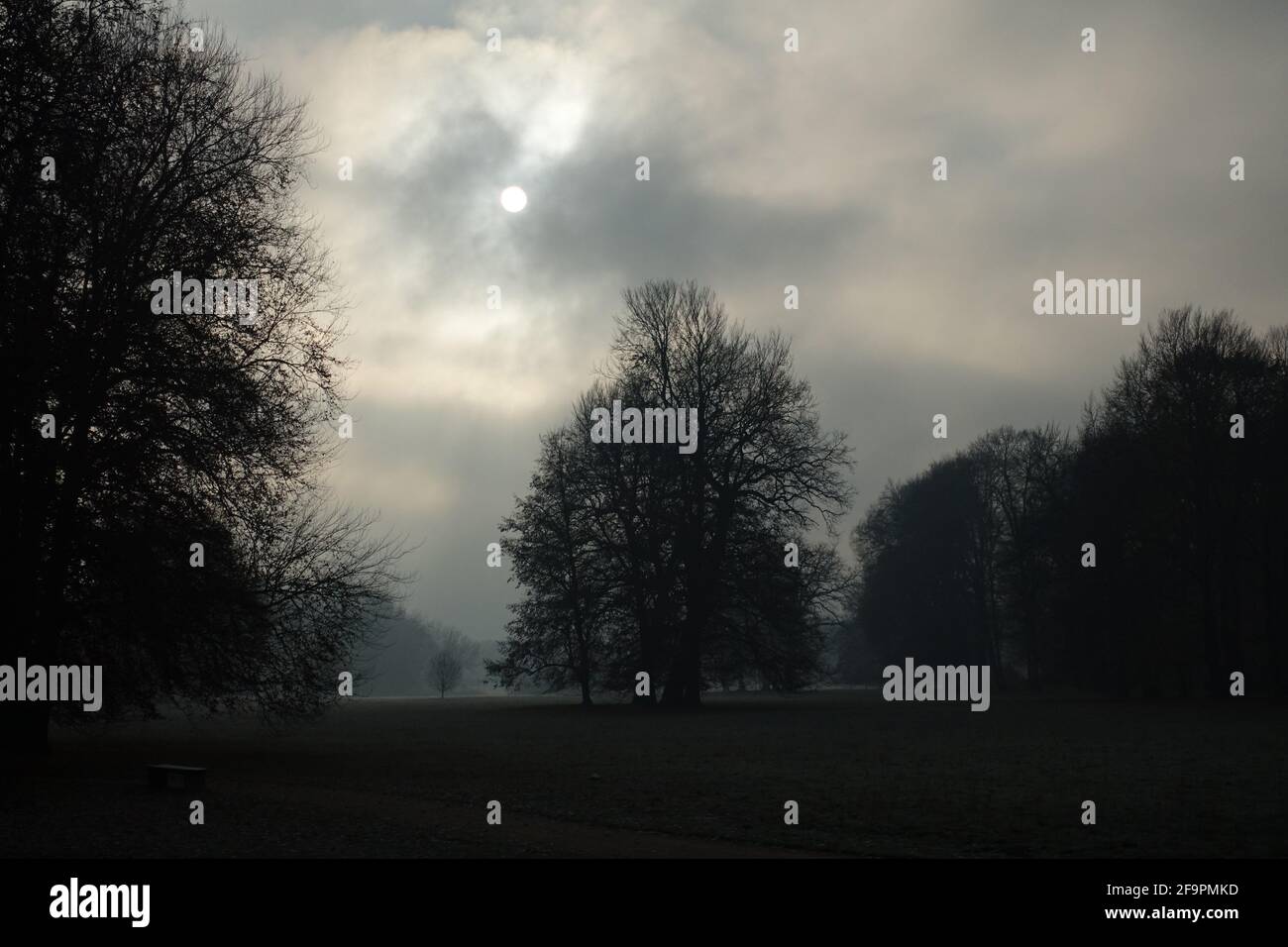 17.11.2018, Neuhardenberg, Brandebourg, Allemagne - Soleil brillant à travers le brouillard sur le parc du château. 00S181117D717CAROEX.JPG [VERSION DU MODÈLE : NON APPLICABLE, Banque D'Images
